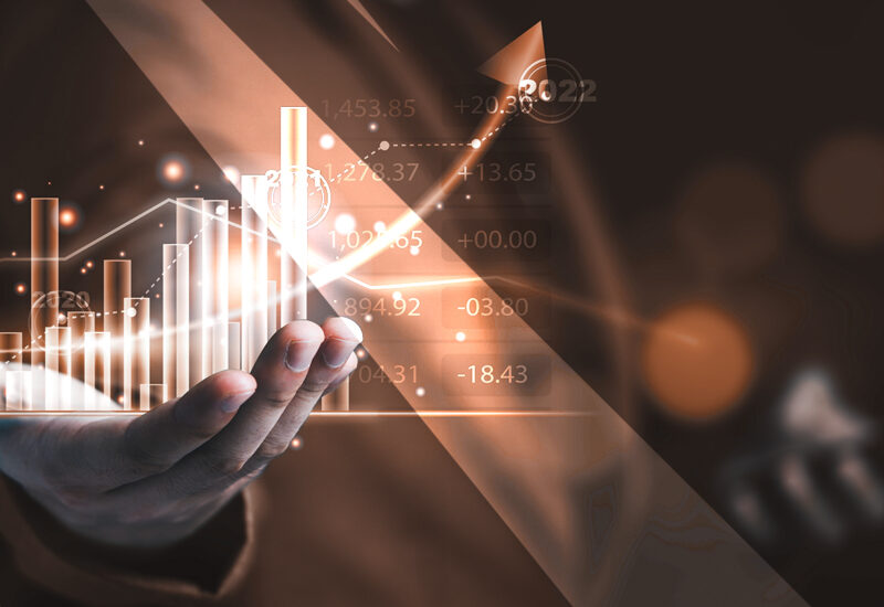 novelli credit novelli credit