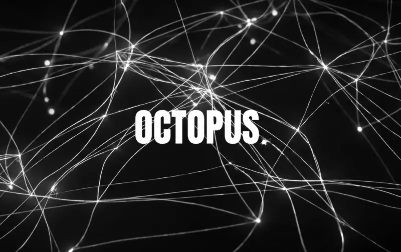 octopus11